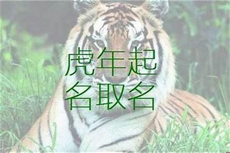 虎喜用字|属虎取名宜用字大全,属虎起名字用什么字最好